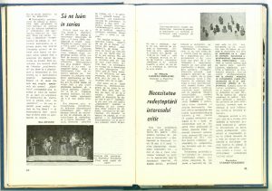 Săptămîna teatrelor de păpuși și marionete: Săptămîna pe puncte (Nr. 8 - 1989)