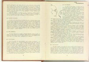 Cum se reflectă satul colectivizat în dramaturgie (au participat la discuţii: V. Em. Galan, Valentin Silvestru, Al. Ivan Ghilia, Dinu Cernescu, Vicu Mîndra, Horia Lovinescu), revista Teatrul nr. 5/1962