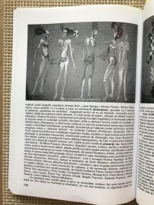 Cătălina Buzoianu, Magie, abur, vis, Antologie de Florica Ichim și Irina Zlotea